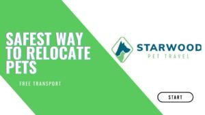 Starwood Pet Resort Review (2024): What You Really Need to Know Before Booking Pet Relocation