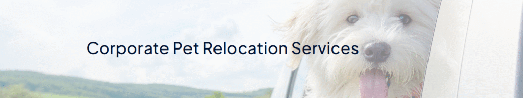 Starwood Pet Resort Review (2024): What You Really Need to Know Before Booking Pet Relocation